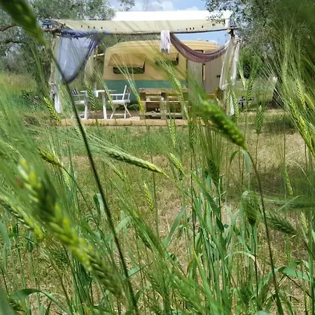 Casa Primera Sostenibile *