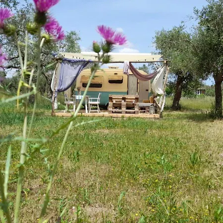 Casa Primera Sostenibile Campeggio Collepasso