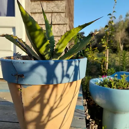 Casa Primera Sostenibile مكان تخييم