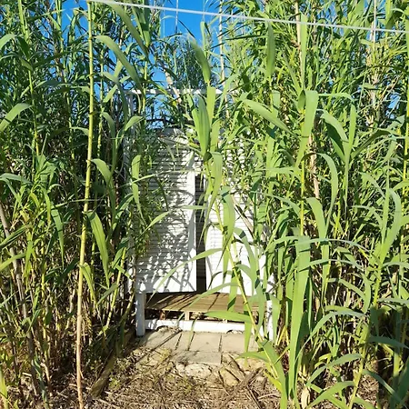 Casa Primera Sostenibile 营地 Collepasso