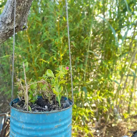 Casa Primera Sostenibile *