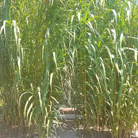 Casa Primera Sostenibile مكان تخييم Collepasso