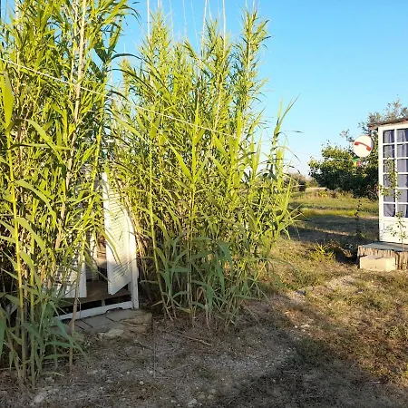 Casa Primera Sostenibile Collepasso