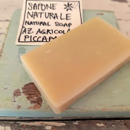 مكان تخييم Casa Primera Sostenibile