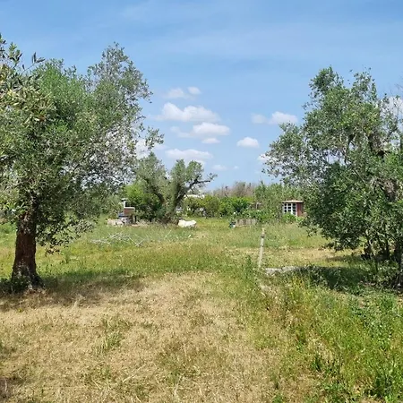 Casa Primera Sostenibile Collepasso